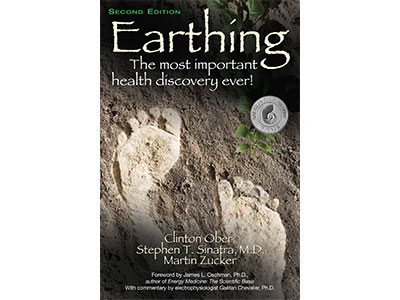 Earthing book